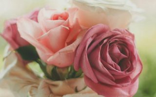 Bukiet ślubny z róż